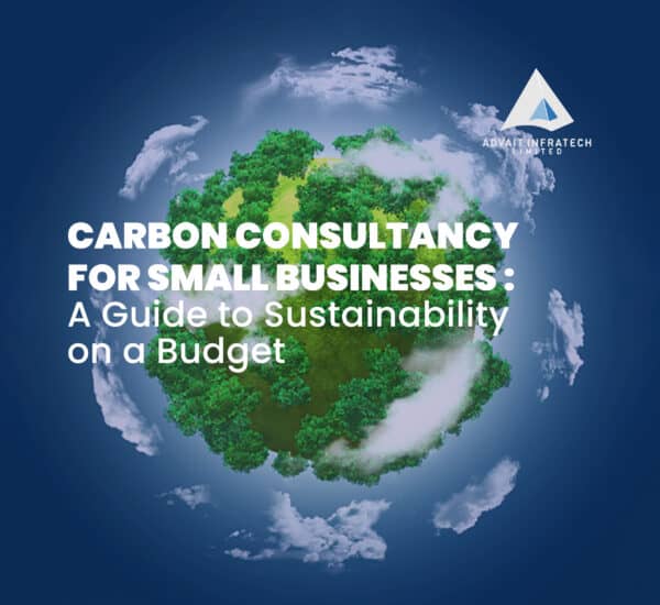 Carbon Consultancy for Small Businesses: A Guide to Sustainability on a Budget